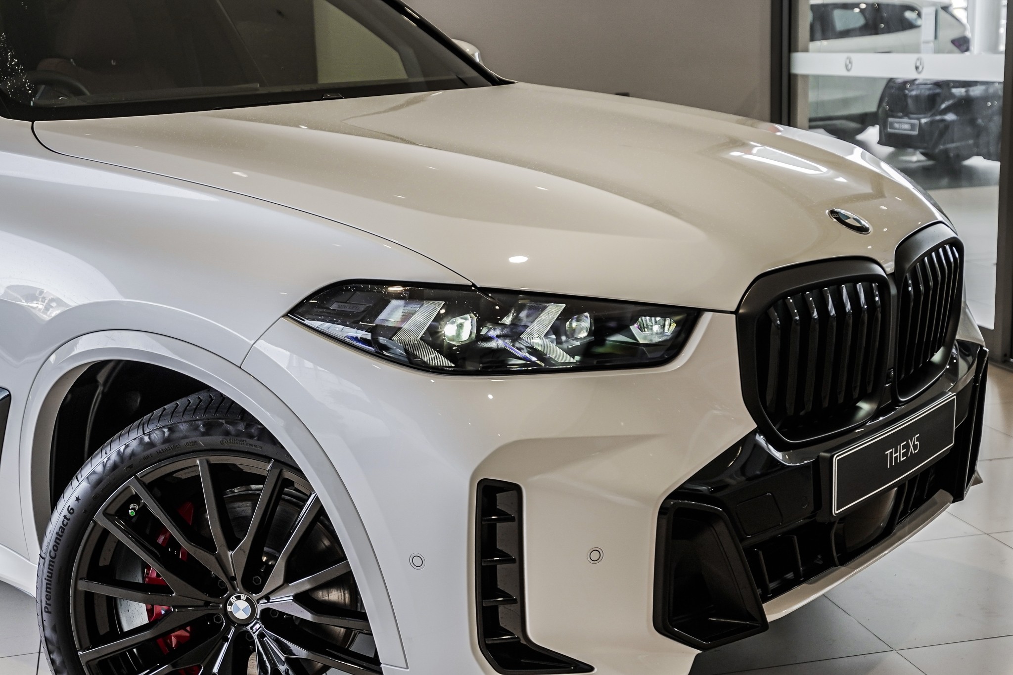 BMW X5 12EV xDrive30d