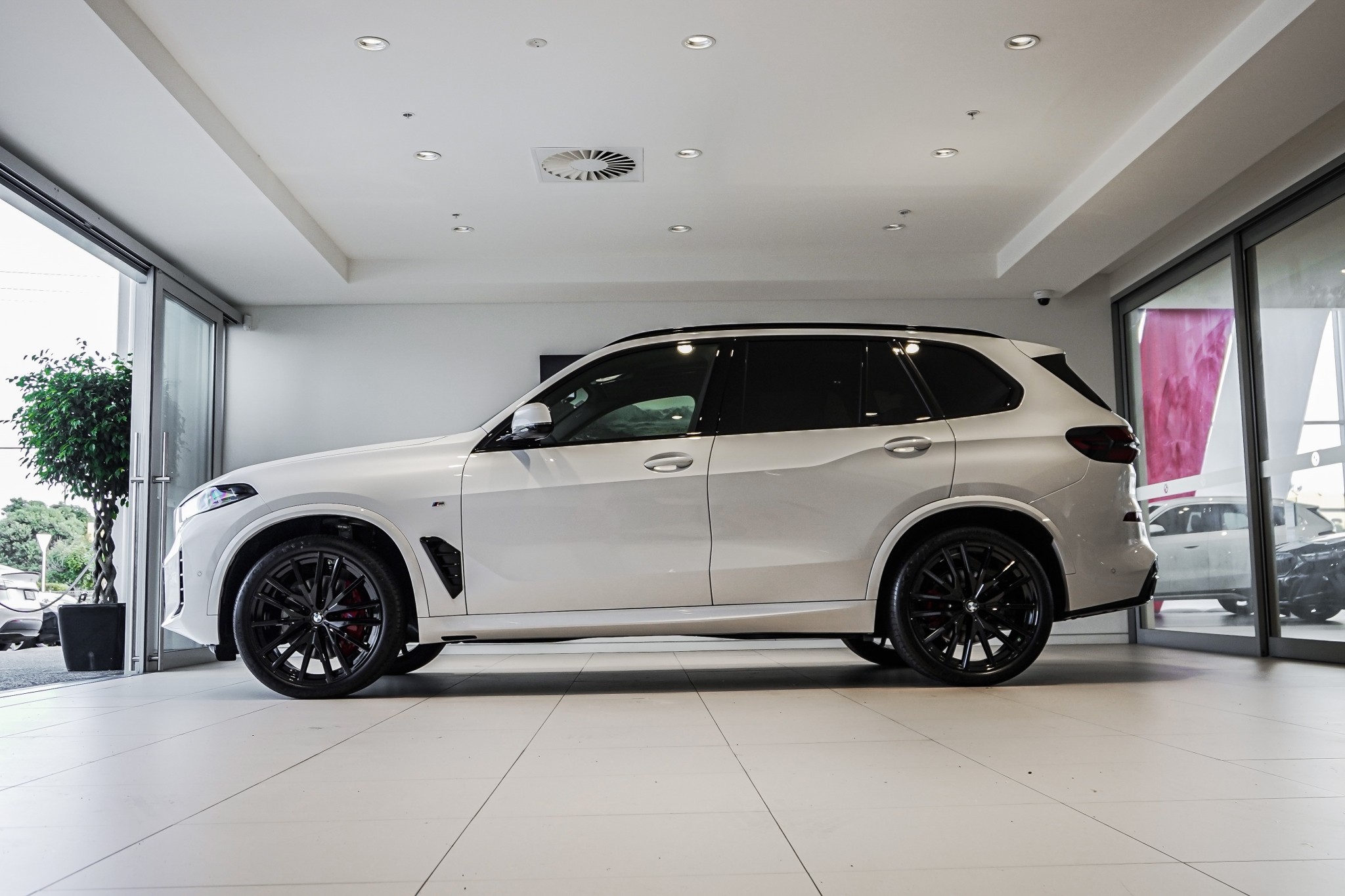 BMW X5 12EV xDrive30d