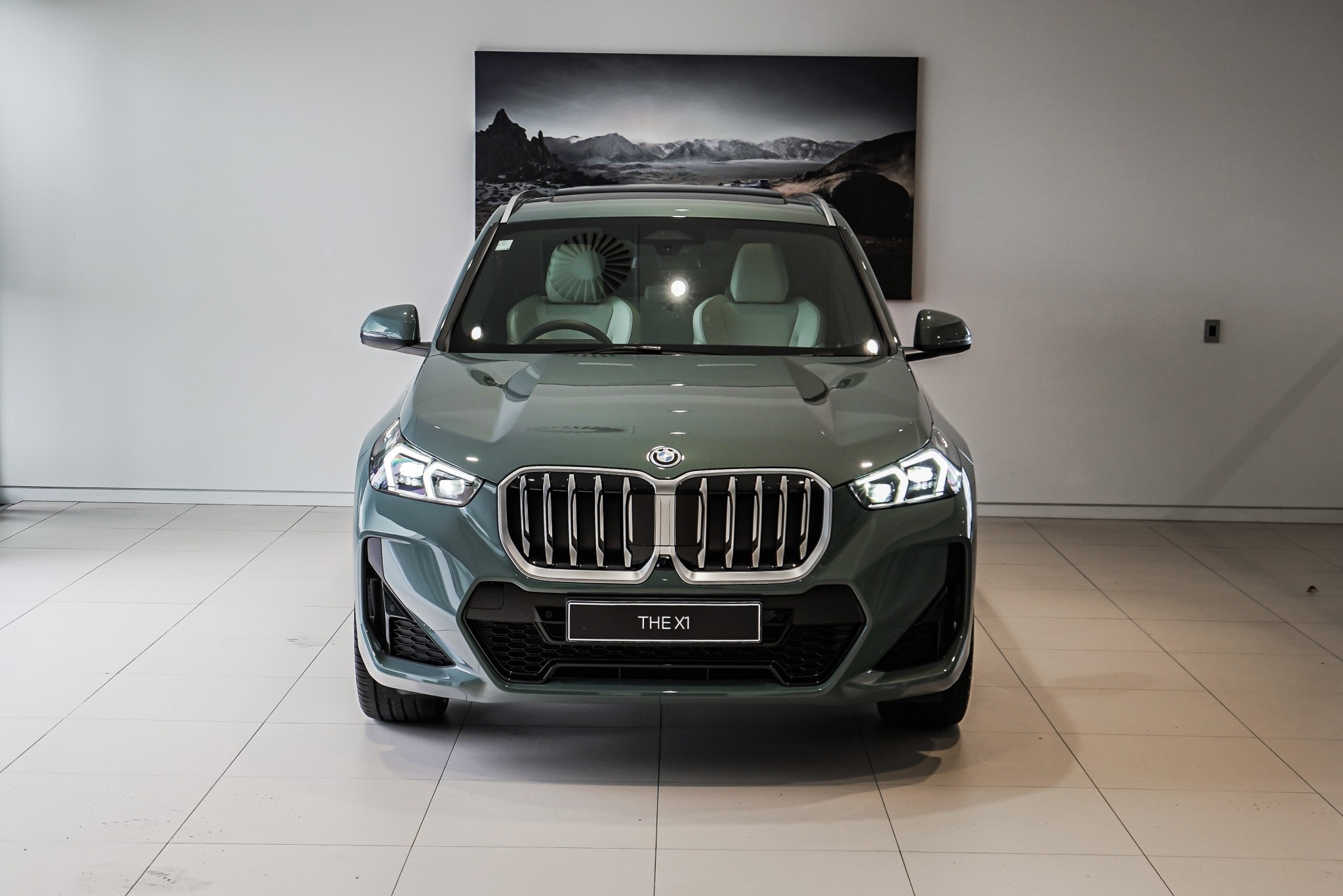 BMW X1 22EF xDrive25e