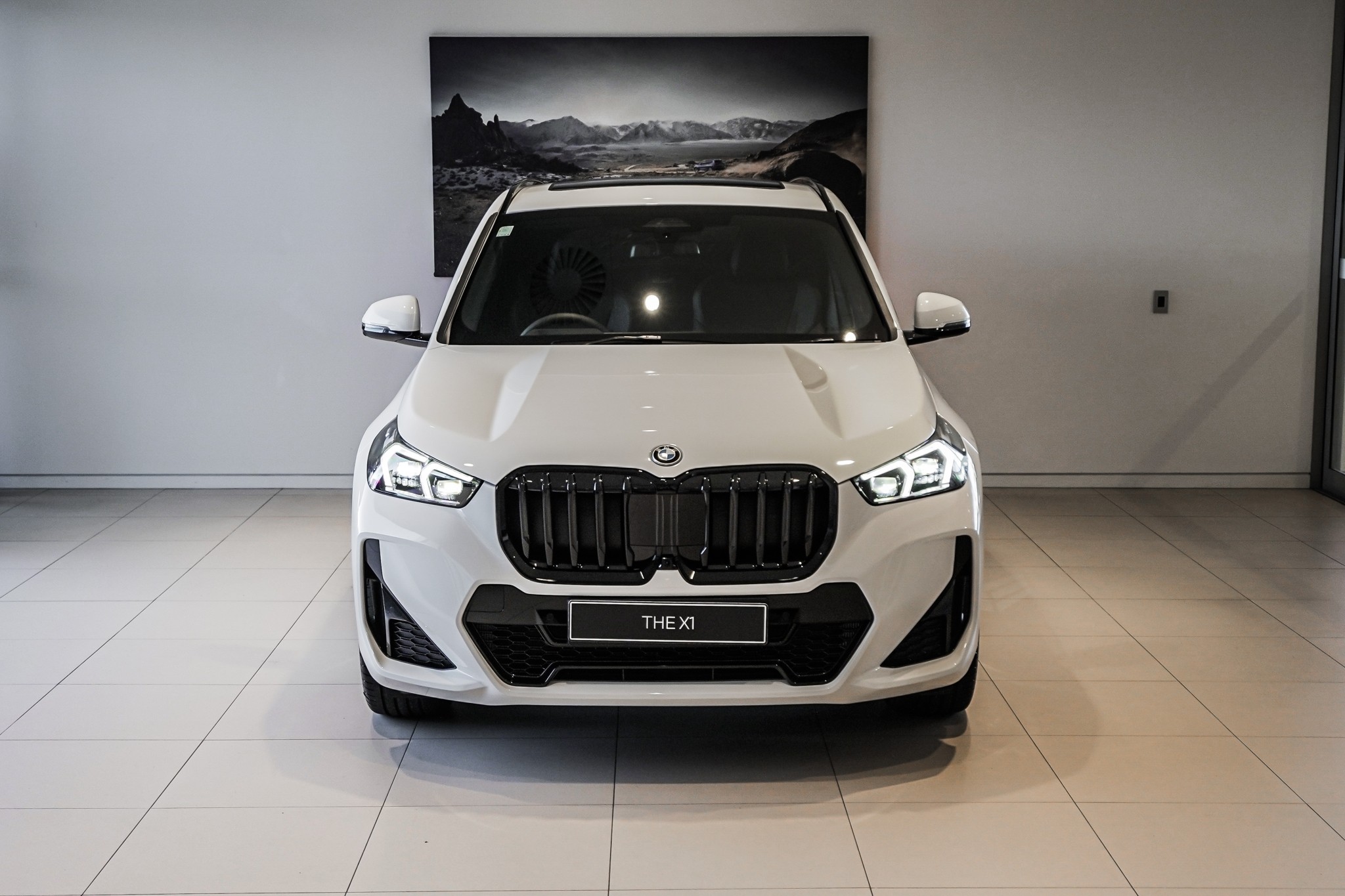 BMW X1 xDrive25e