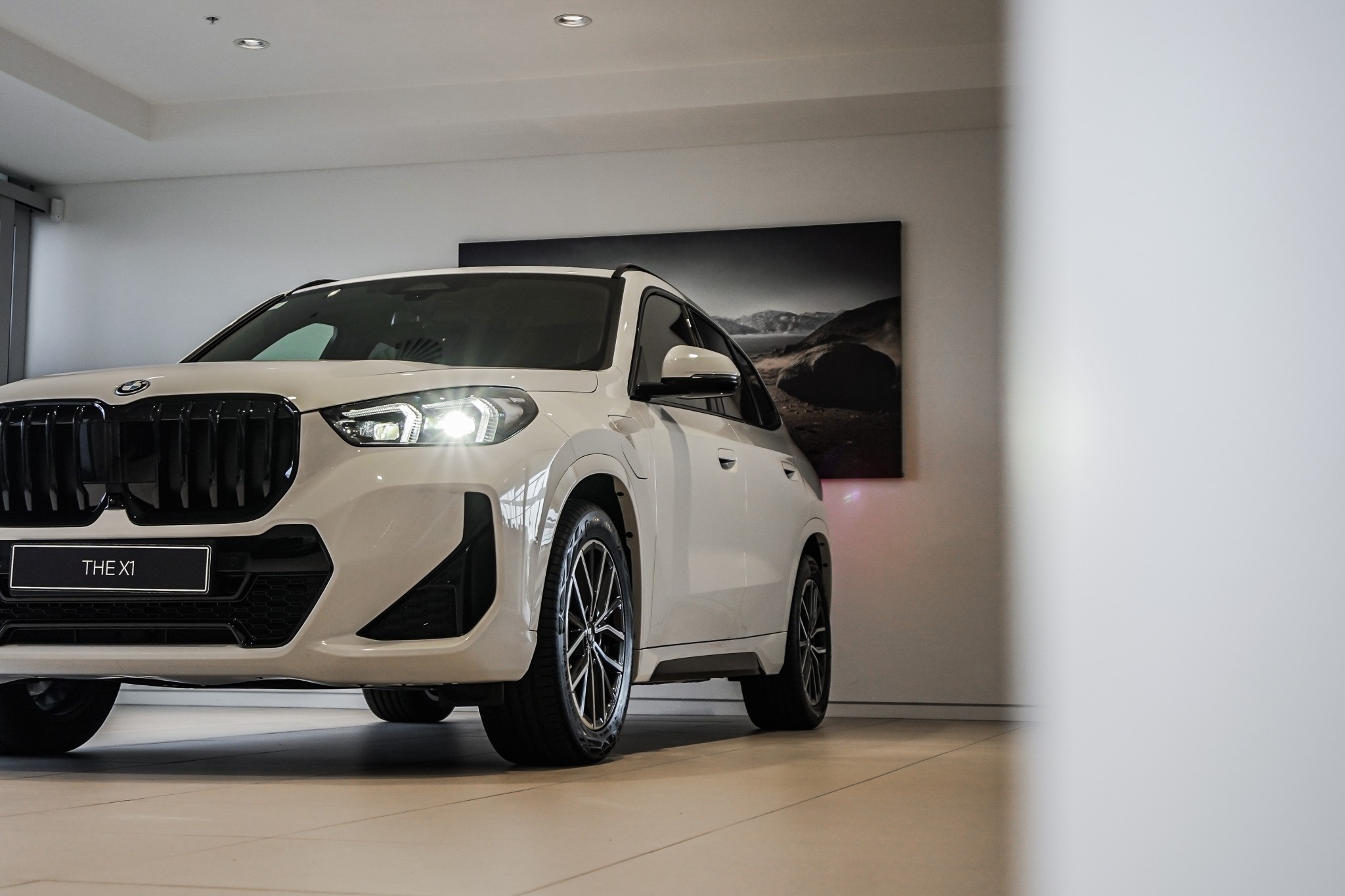 BMW X1 xDrive25e