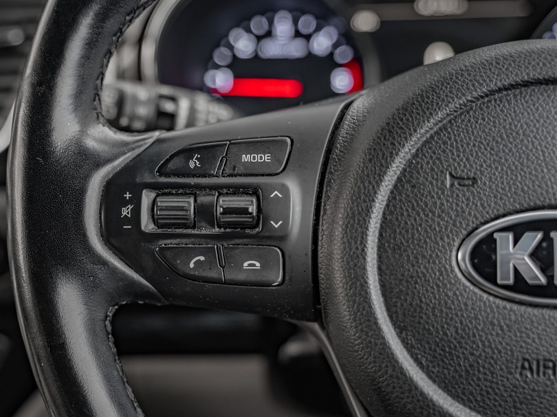 2019 Kia Carnival 13