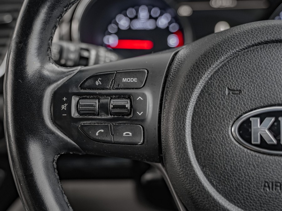 2019 Kia Carnival 13