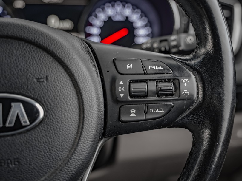2019 Kia Carnival 14