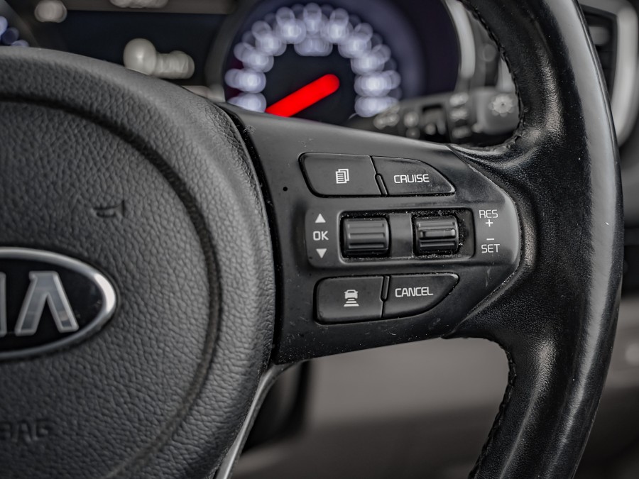 2019 Kia Carnival 14