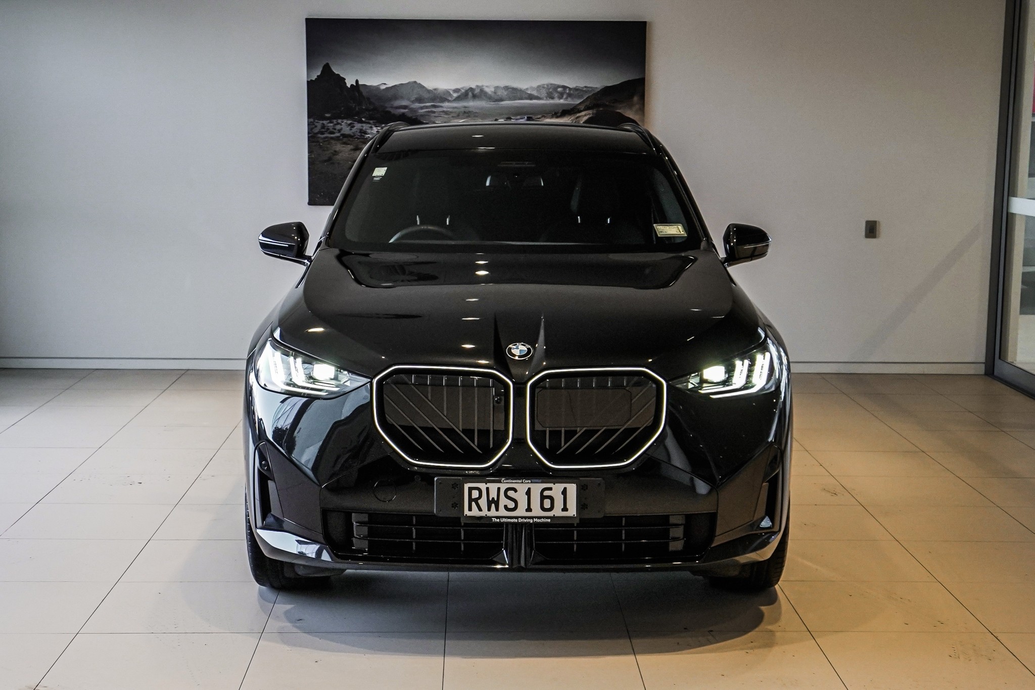 BMW X3 XDRIVE 2.0PT/4WD