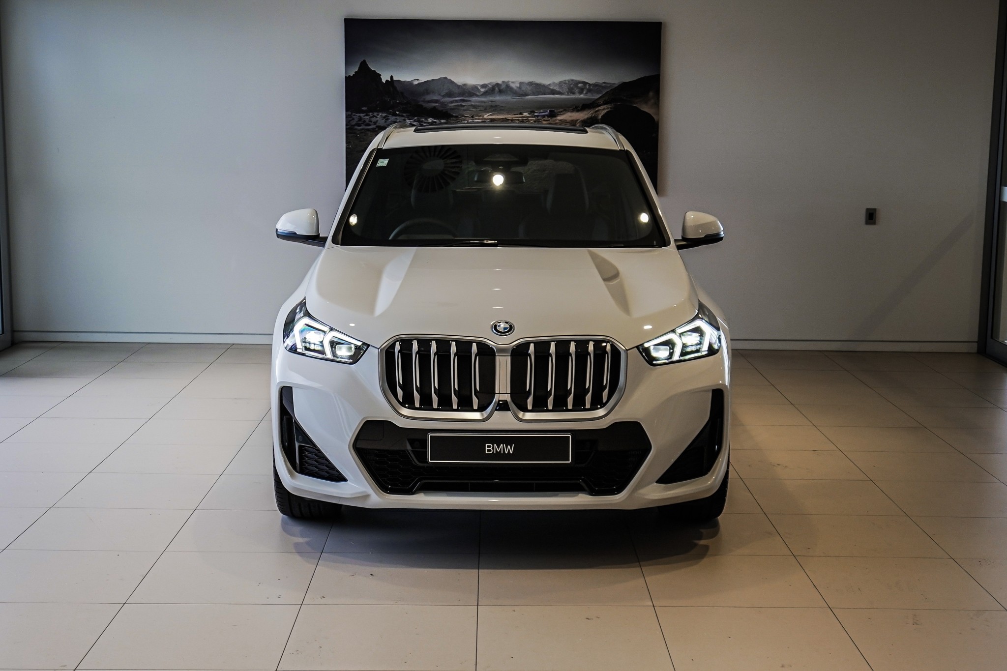 BMW X1 xDrive25e