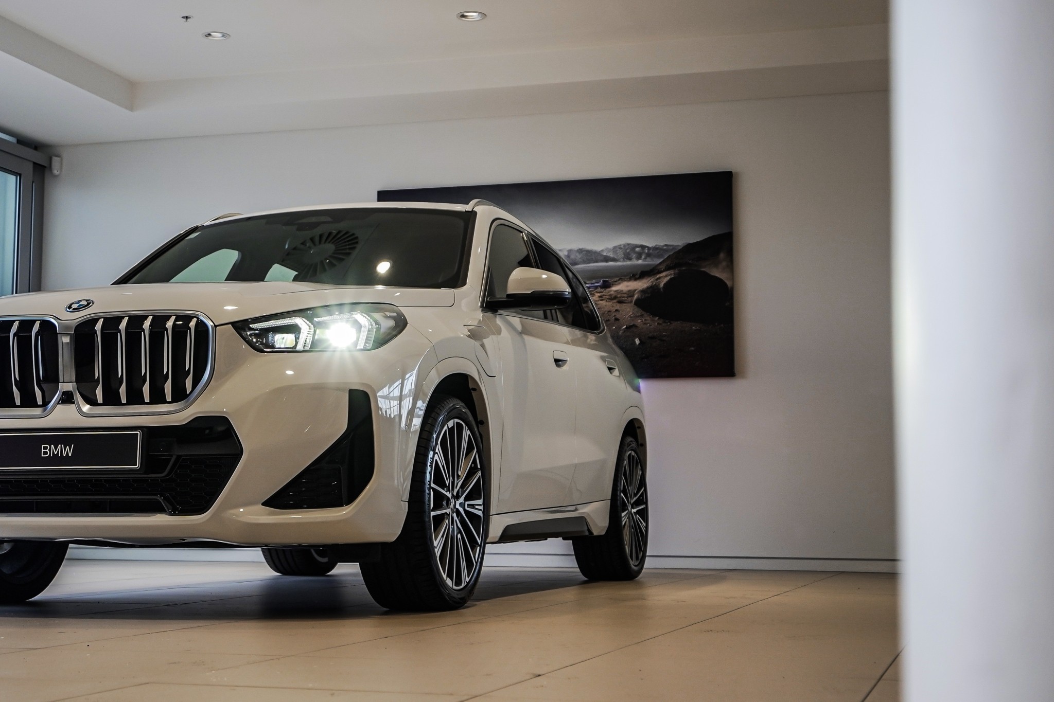 BMW X1 xDrive25e