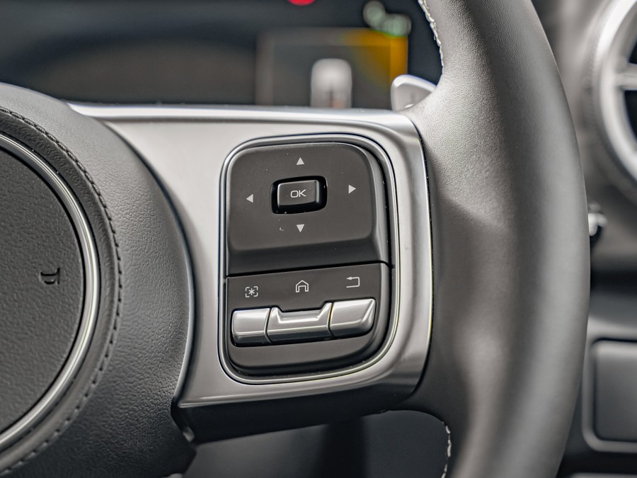 2026 GWM Tank 300 13