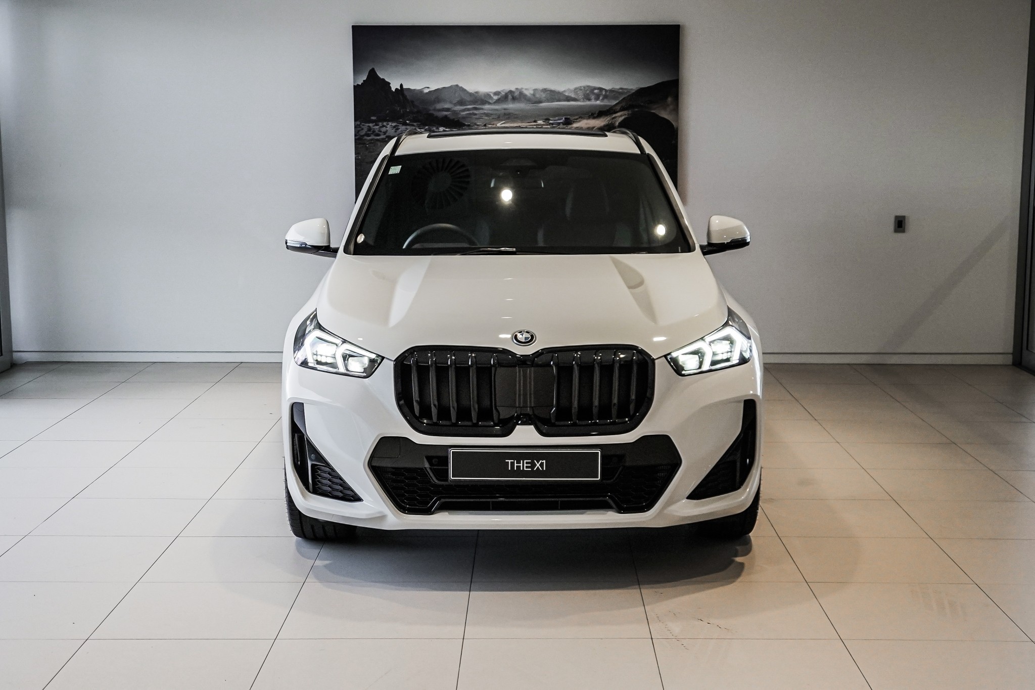 BMW X1 xDrive25e