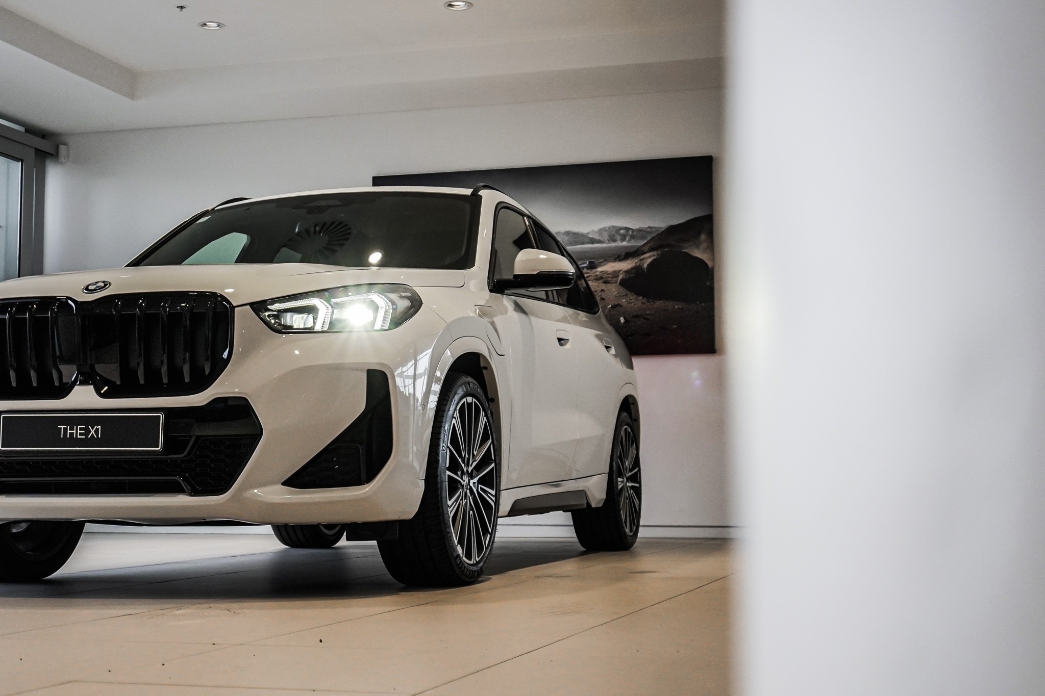 BMW X1 xDrive25e