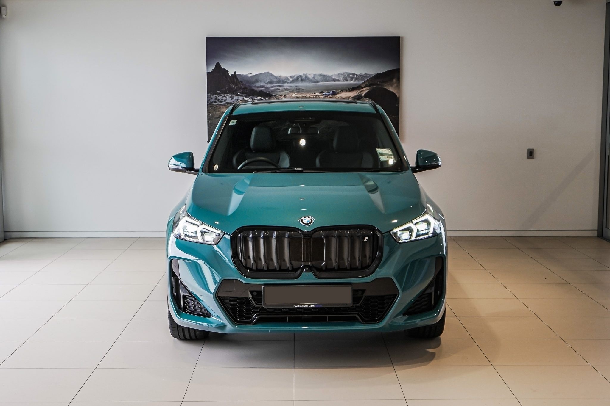 BMW iX1 xDrive 30 M-Sport